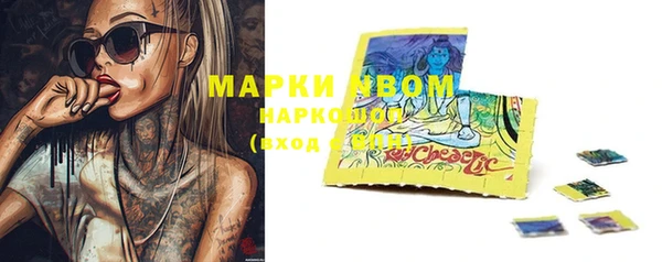 PSILOCYBIN Няндома