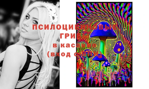 PSILOCYBIN Няндома