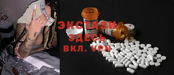 шишки Билибино