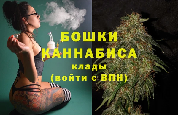 2c-b Новозыбков