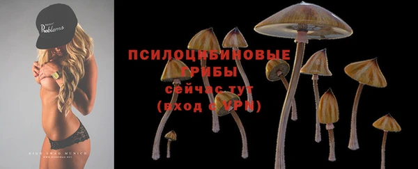 прущая мука Нягань
