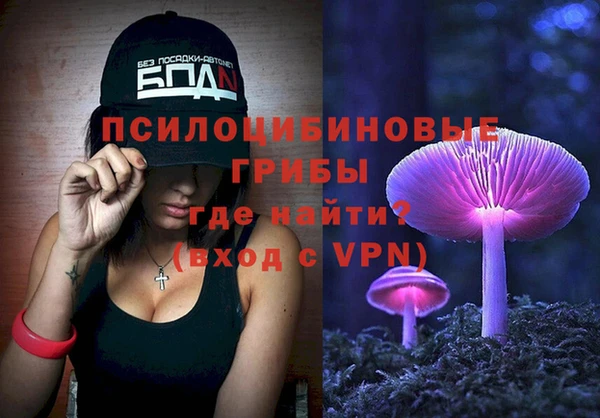 2c-b Новозыбков