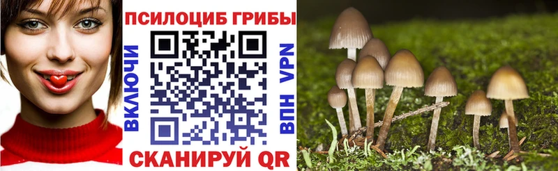 Псилоцибиновые грибы Magic Shrooms  купить наркоту  Алушта 