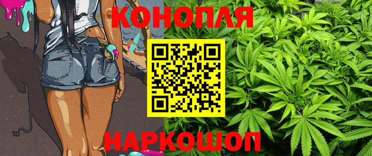Бошки Шишки семена  Вход с VPN  Алушта  Конопля Bruce Banner  Каннабис Ganja 